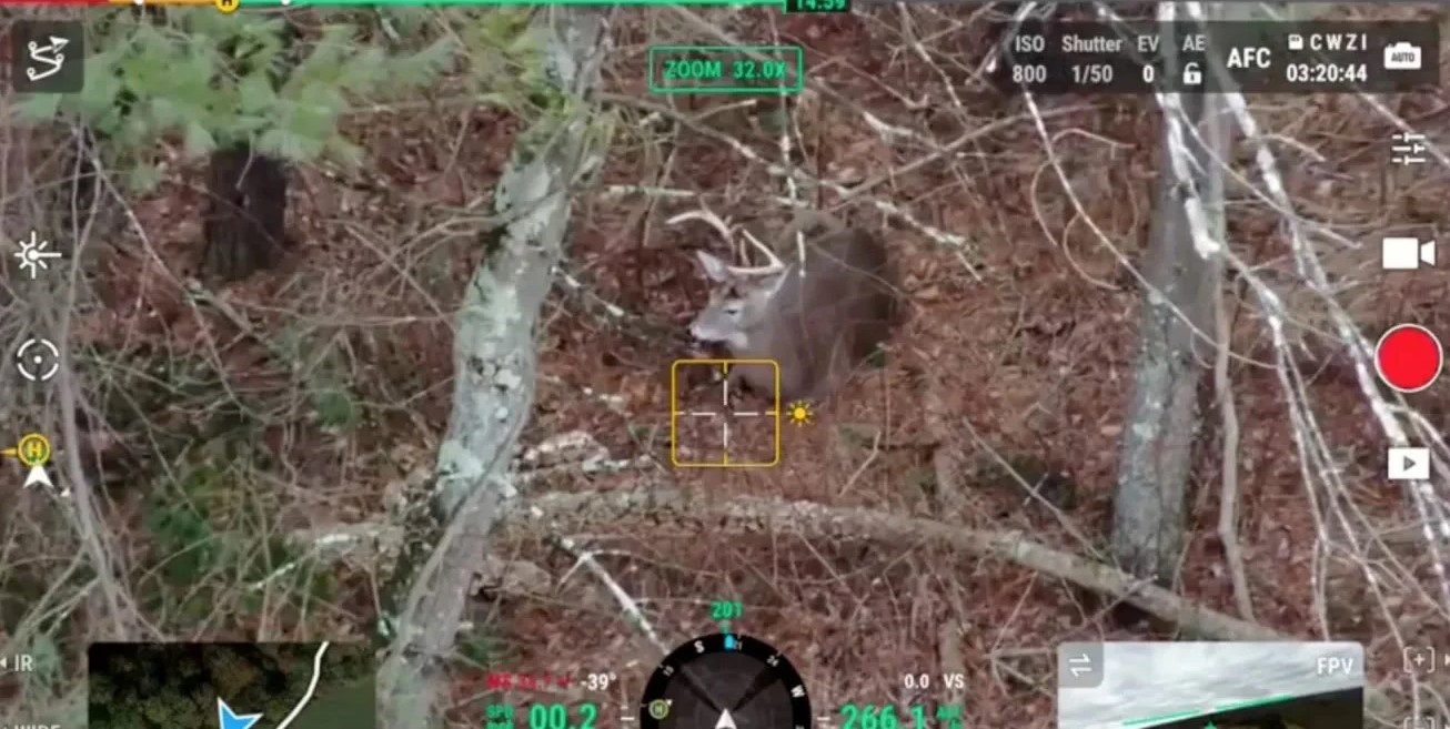 is-drone-deer-recovery-legal-in-georgia-2